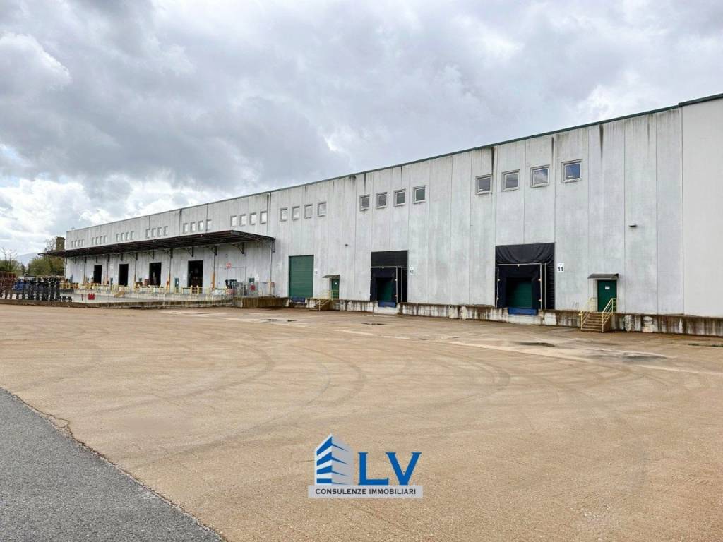 immagine annuncio 10 di 12