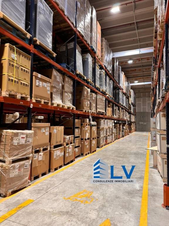 immagine annuncio 11 di 12