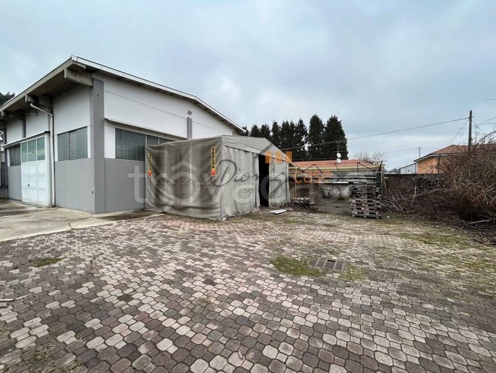 immagine annuncio 2 di 8