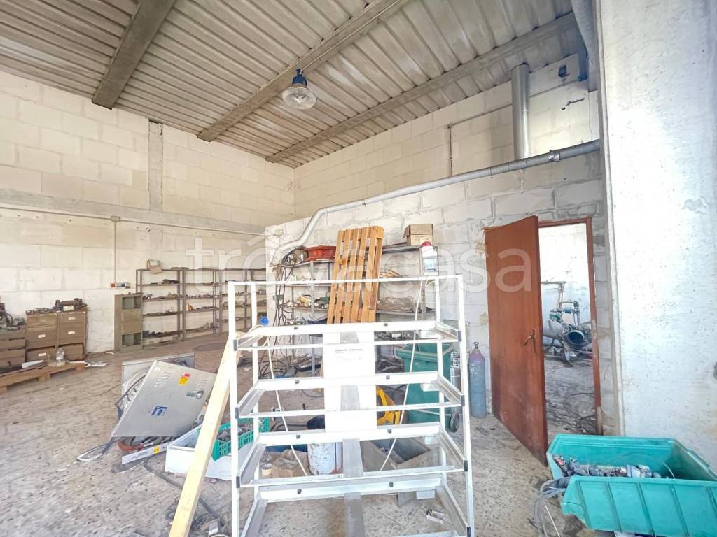 immagine annuncio 6 di 15