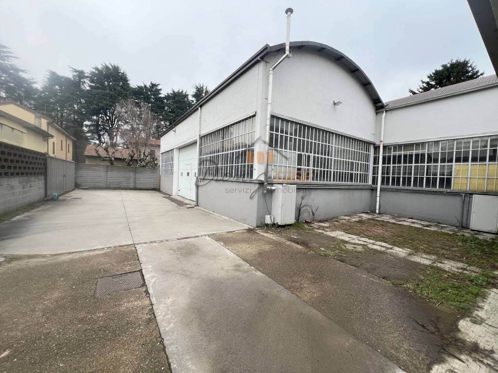 immagine annuncio 3 di 11