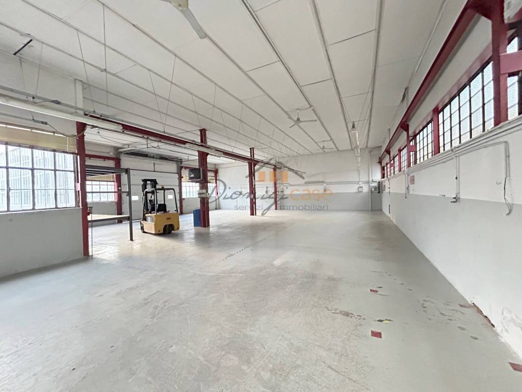 immagine annuncio 5 di 11