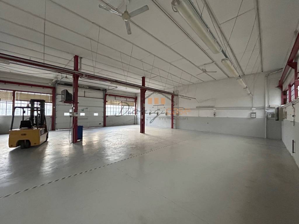 immagine annuncio 6 di 11