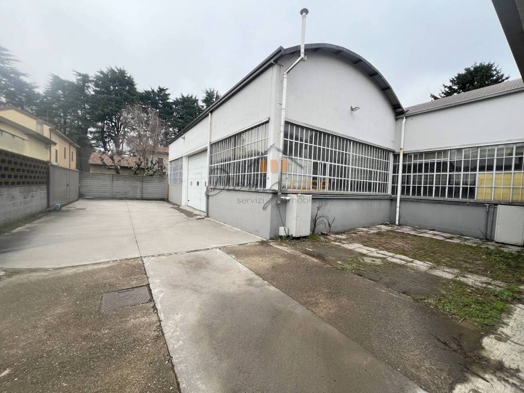 immagine annuncio 9 di 11