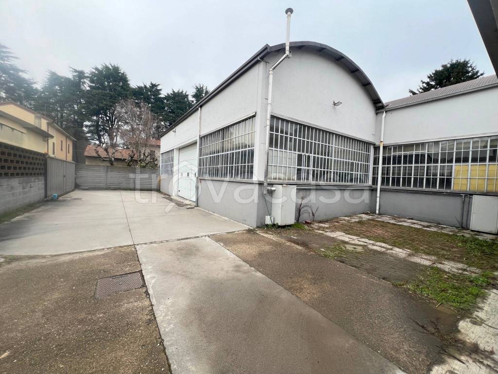 immagine annuncio 10 di 11