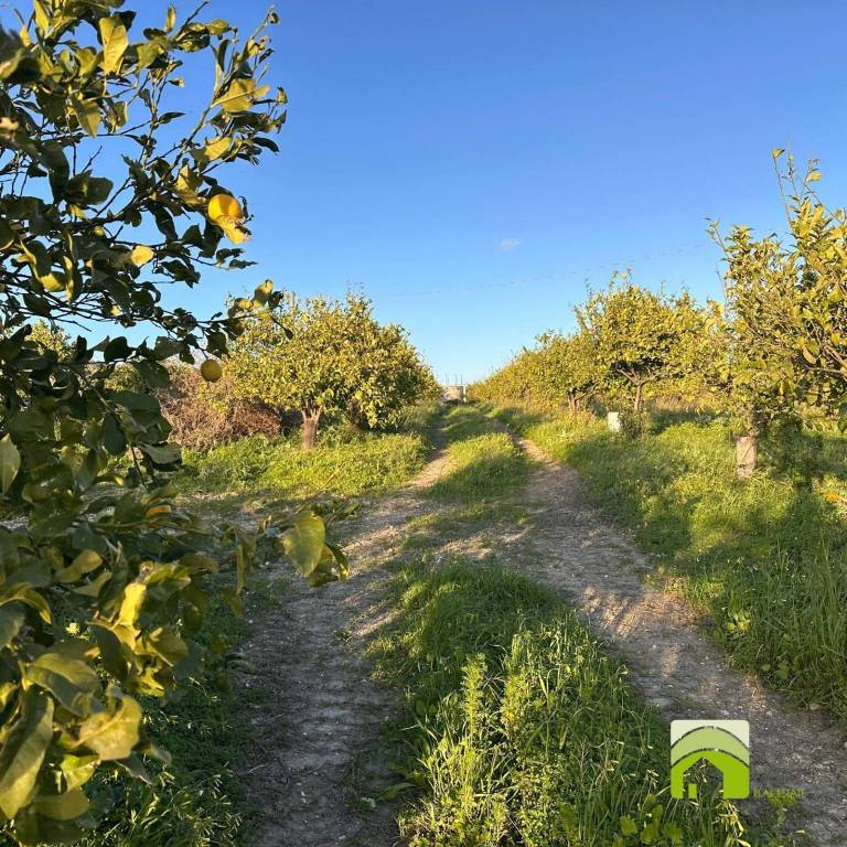 immagine annuncio 7 di 8