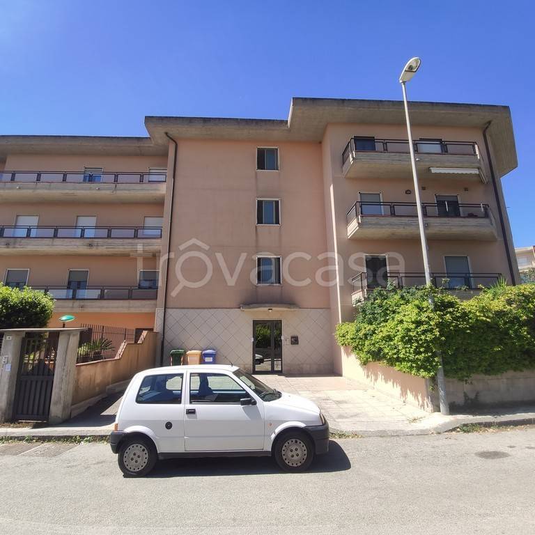 immagine annuncio 6 di 14