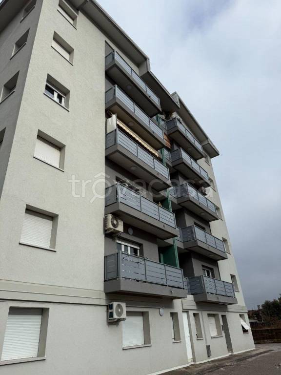 immagine annuncio 11 di 14