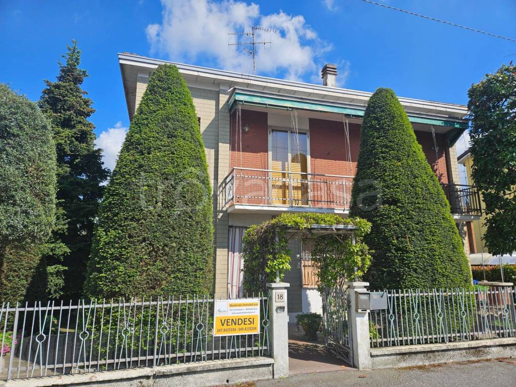 immagine annuncio 1 di 15