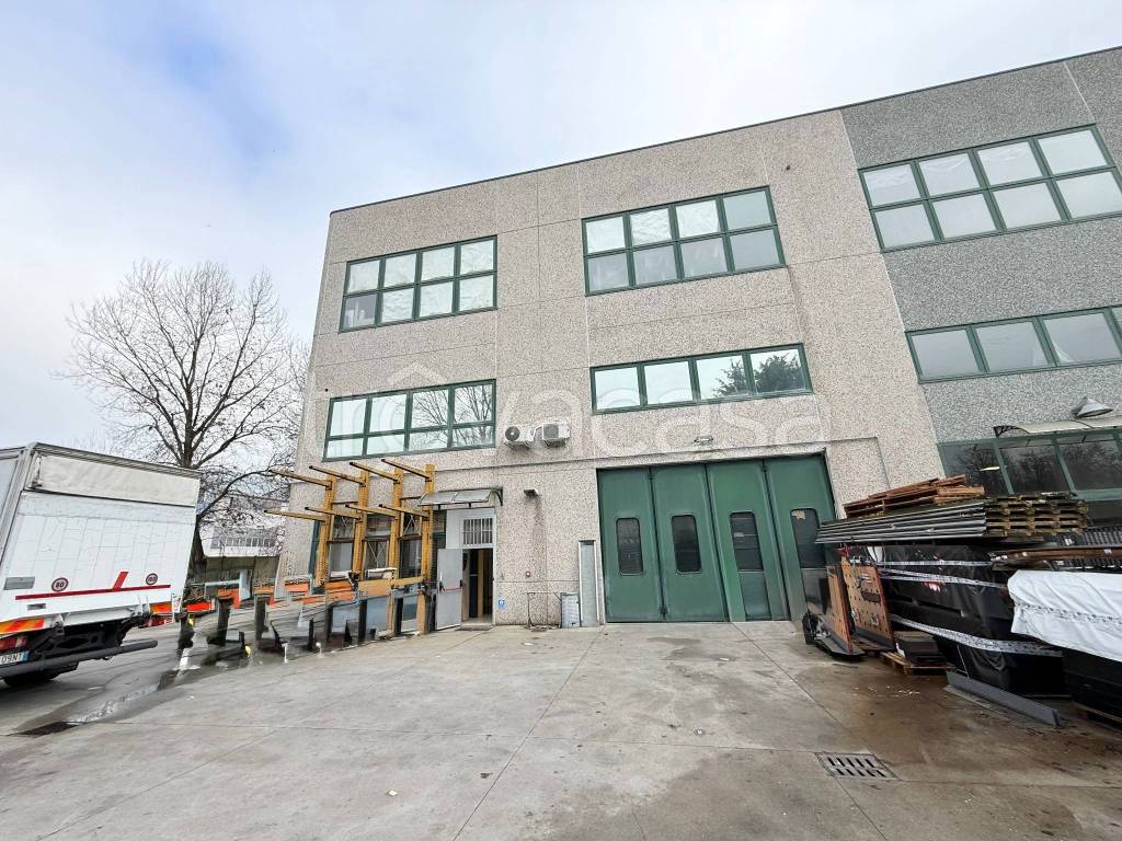 immagine annuncio 3 di 15