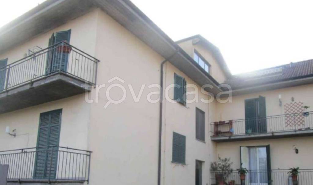 immagine annuncio 3 di 14