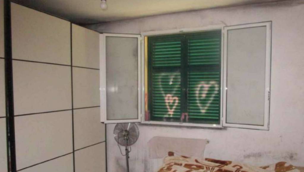 immagine annuncio 11 di 14