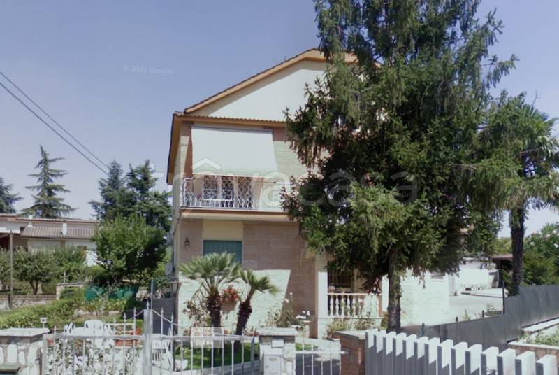 immagine annuncio 9 di 13