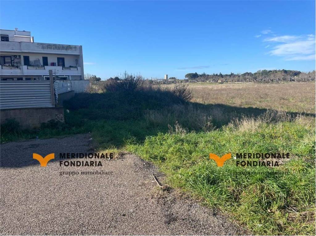 immagine annuncio 4 di 12