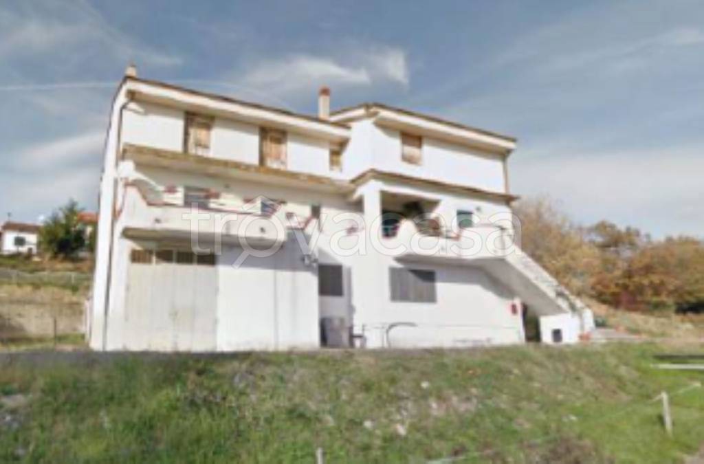 immagine annuncio 2 di 12