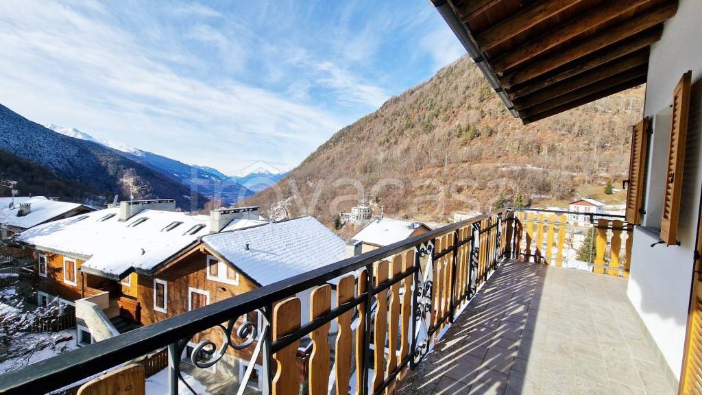 immagine annuncio 12 di 15