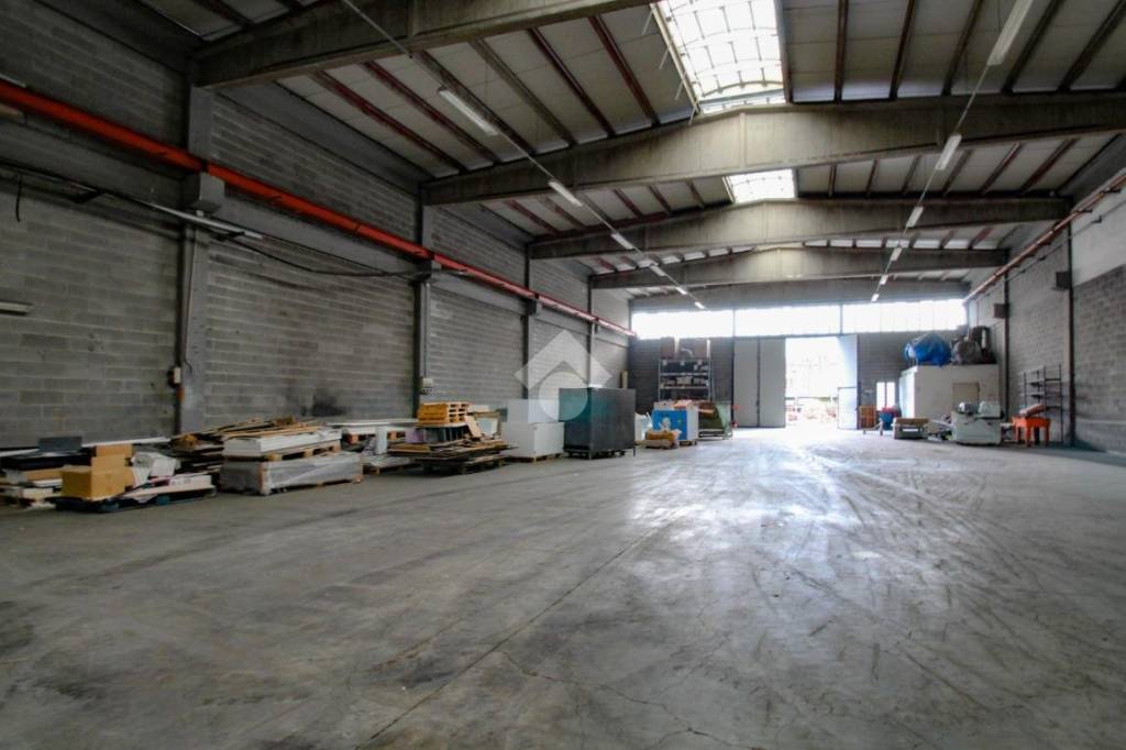 immagine annuncio 5 di 15