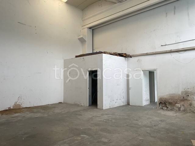 immagine annuncio 7 di 11