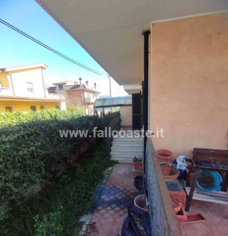 immagine annuncio 11 di 14