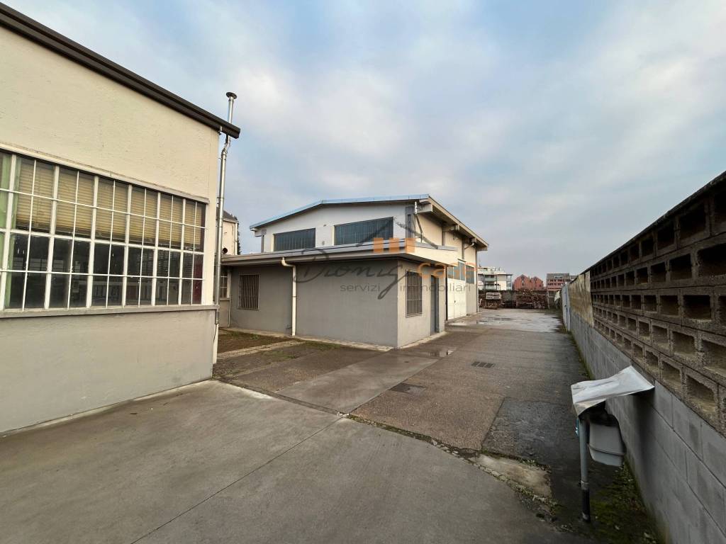 immagine annuncio 1 di 13