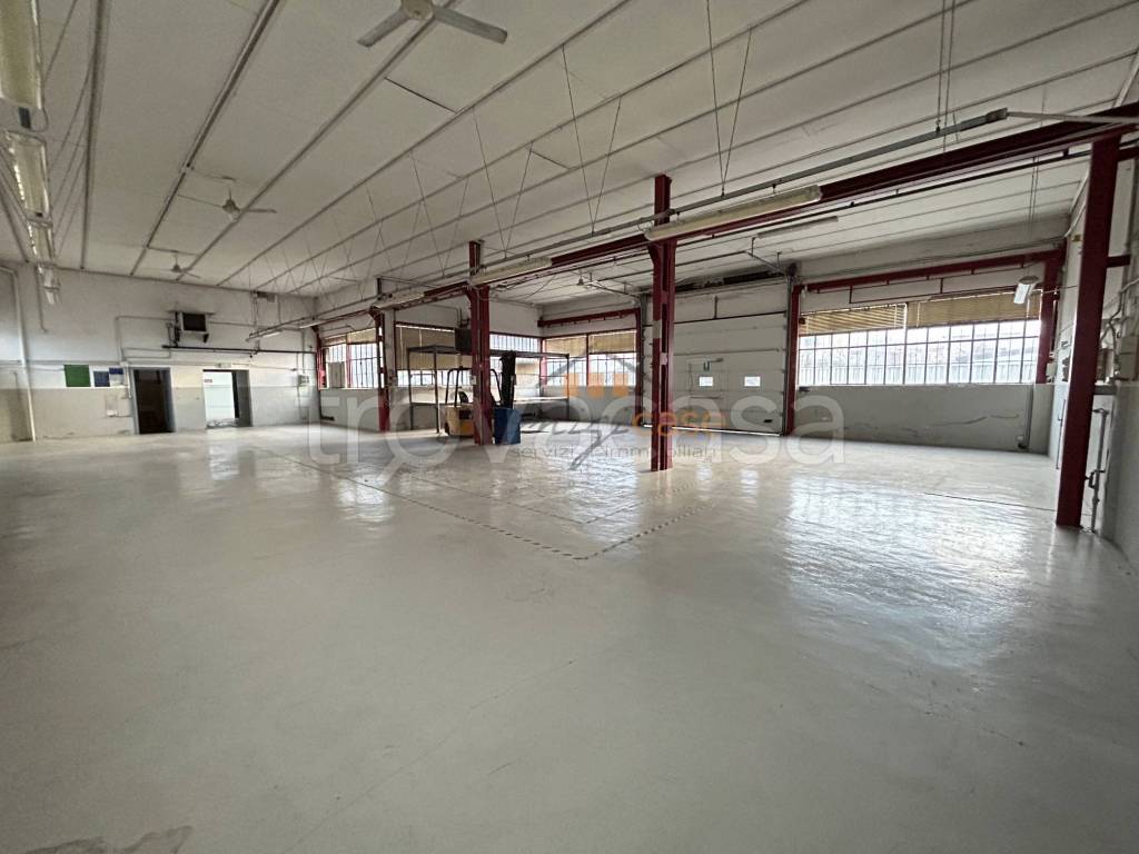 immagine annuncio 10 di 13