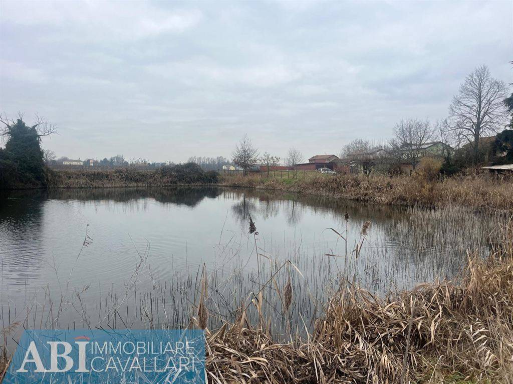 immagine annuncio 1 di 4