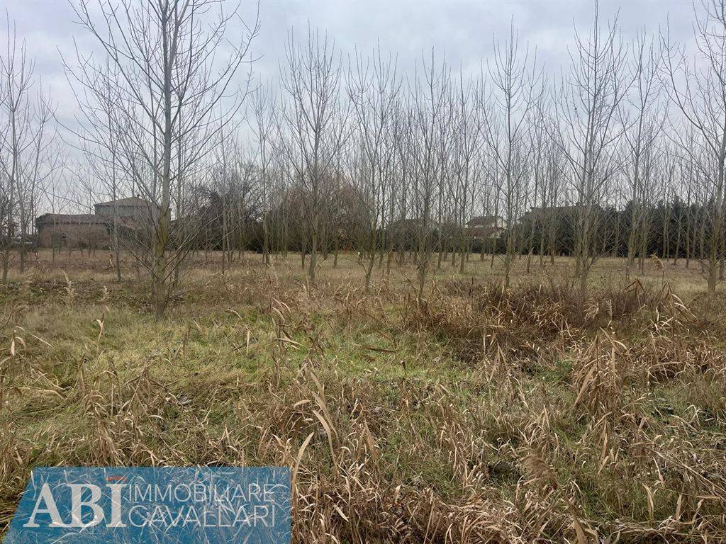 immagine annuncio 2 di 4