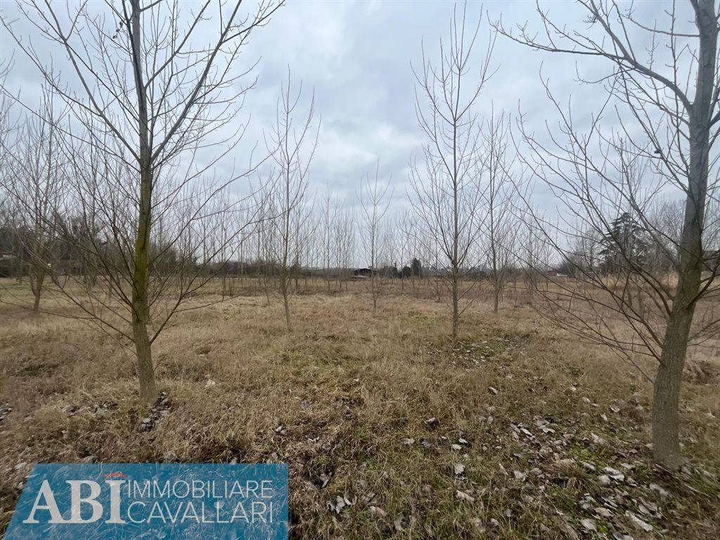 immagine annuncio 3 di 4