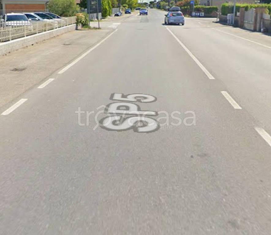 immagine annuncio 9 di 12