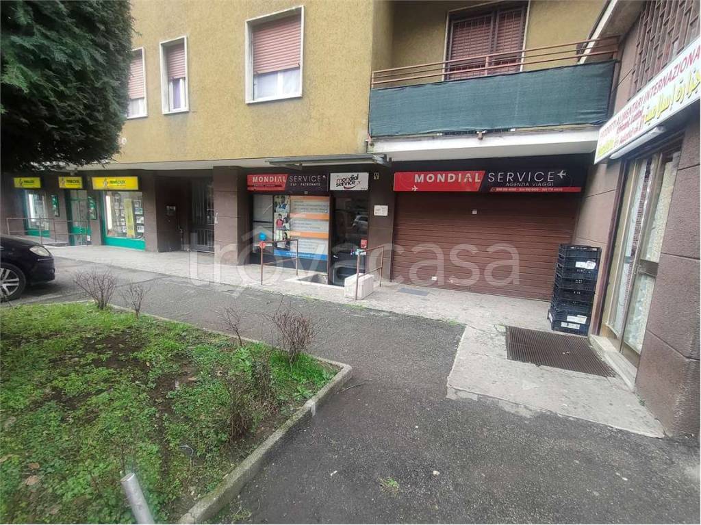 immagine annuncio 11 di 15