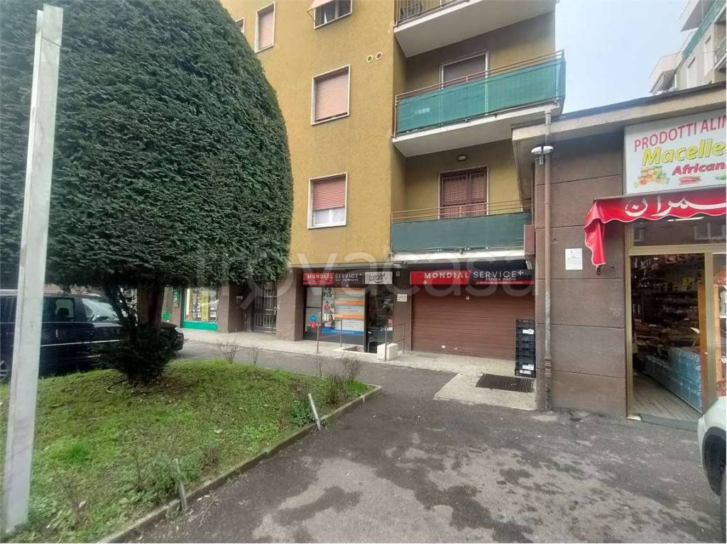 immagine annuncio 12 di 15