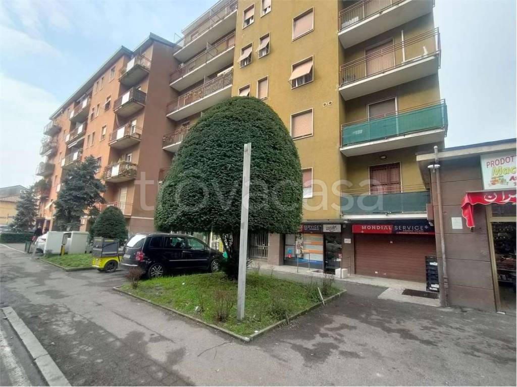 immagine annuncio 14 di 15