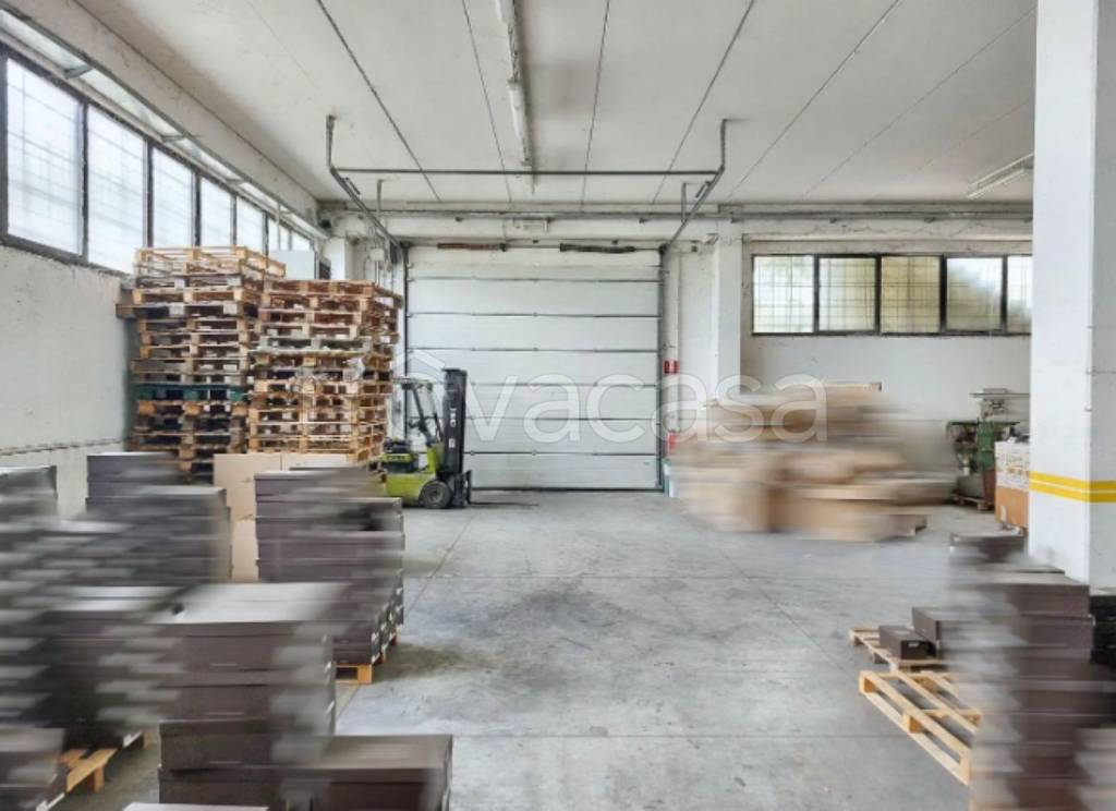 immagine annuncio 9 di 11