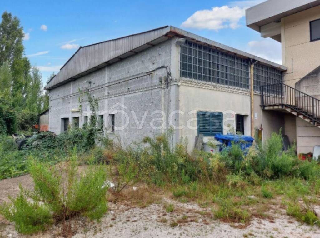 immagine annuncio 2 di 11