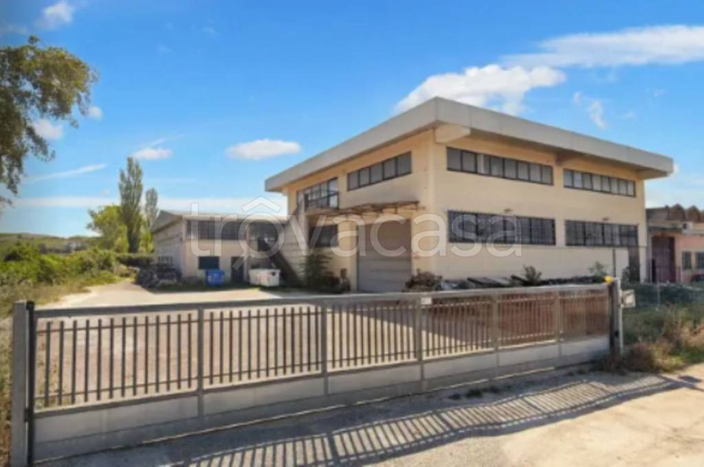 immagine annuncio 1 di 11