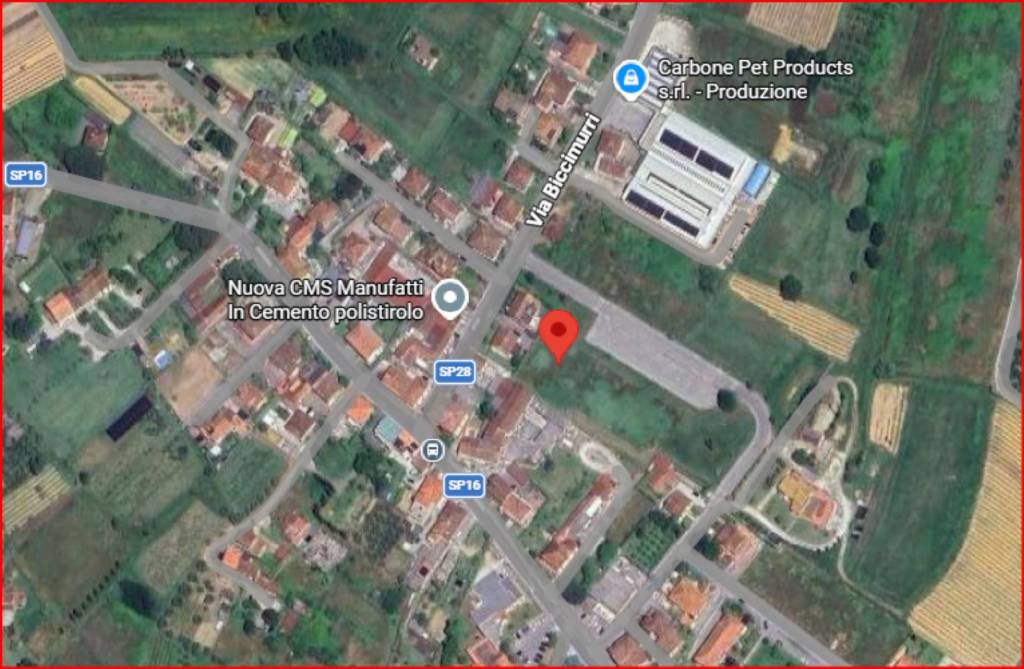 immagine annuncio 11 di 12