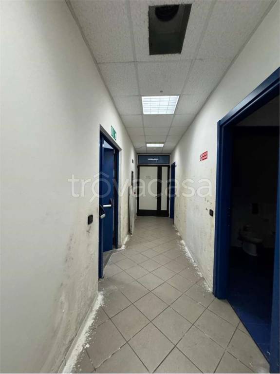 immagine annuncio 7 di 13