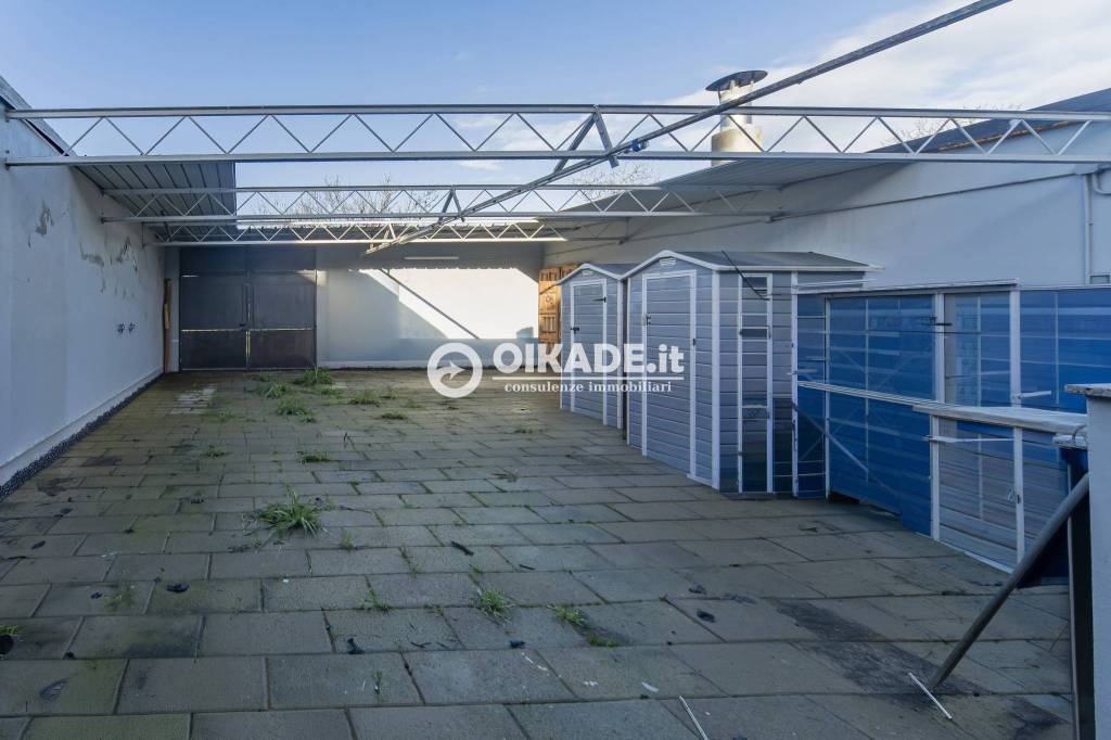 immagine annuncio 4 di 15