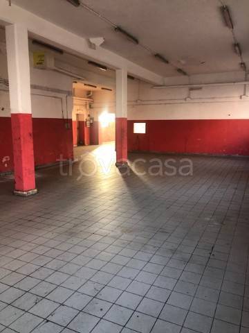 immagine annuncio 5 di 7