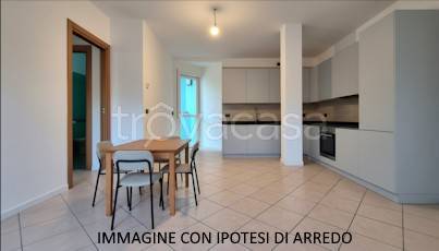 immagine annuncio 2 di 13