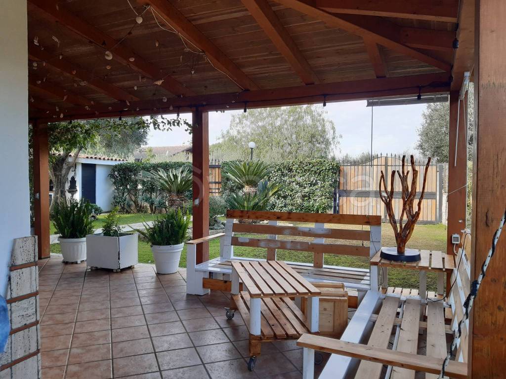 immagine annuncio 12 di 15