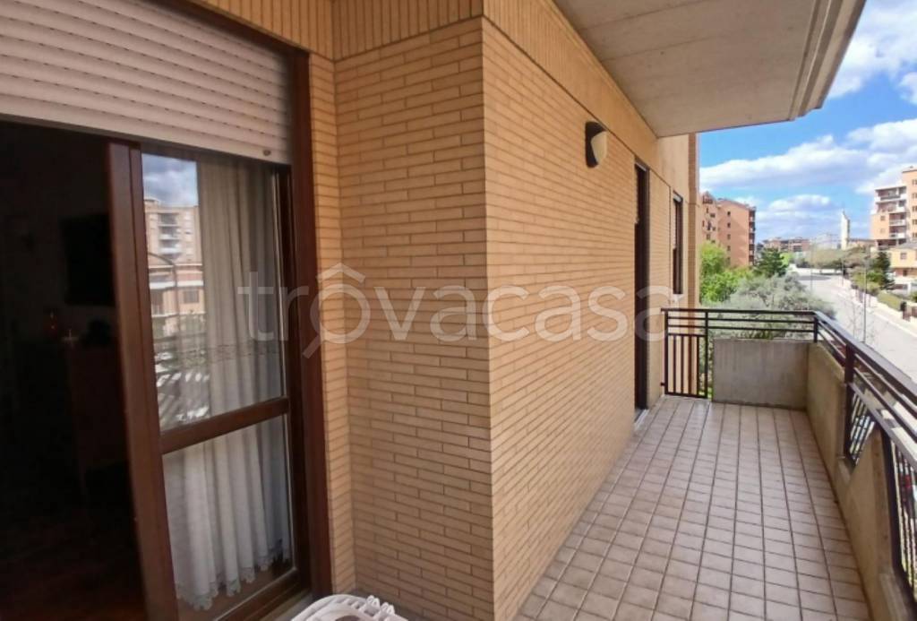 immagine annuncio 10 di 14