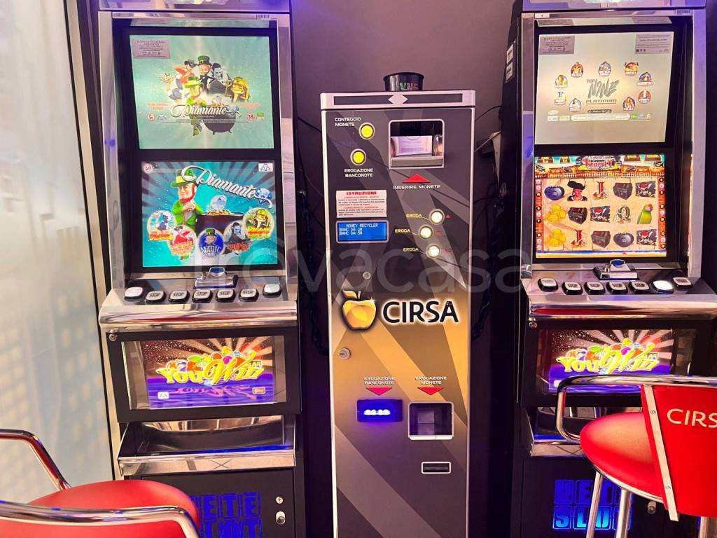 immagine annuncio 11 di 15