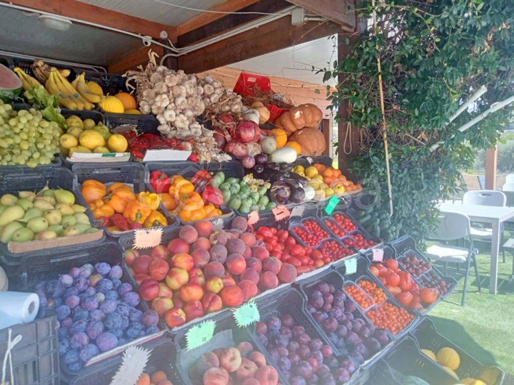 immagine annuncio 3 di 13