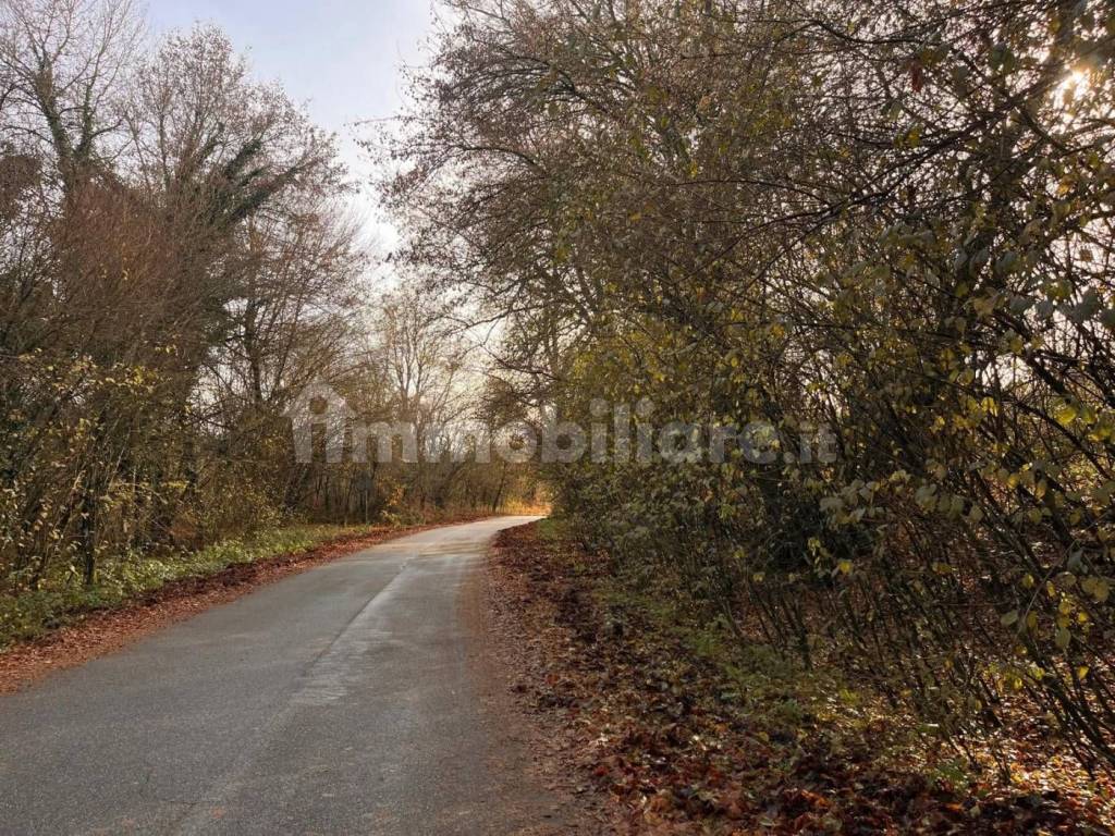 immagine annuncio 9 di 11