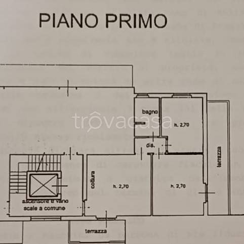 immagine annuncio 8 di 10