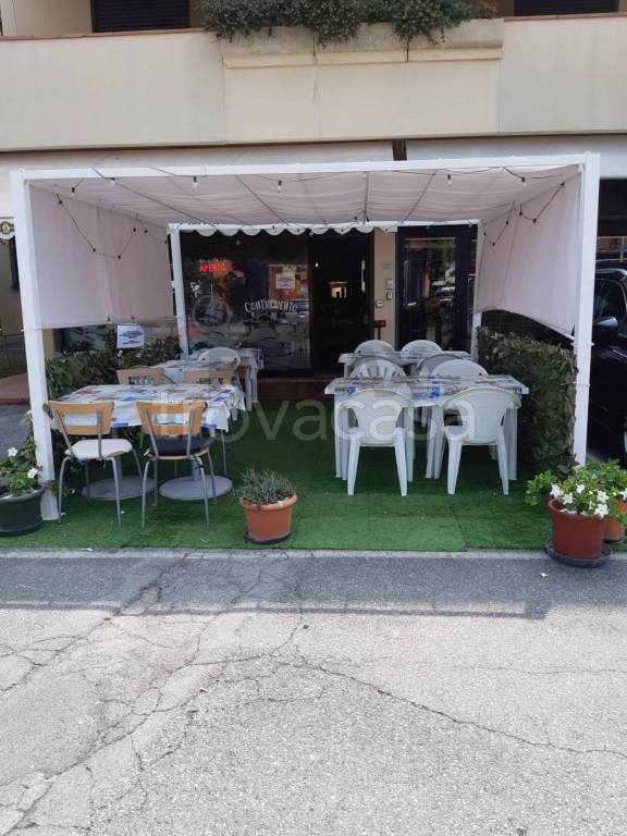 immagine annuncio 12 di 14