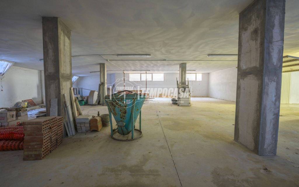 immagine annuncio 10 di 15