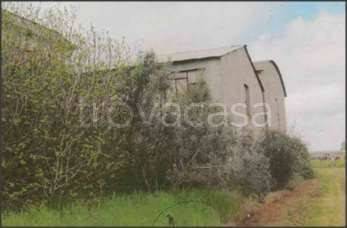 immagine annuncio 2 di 6