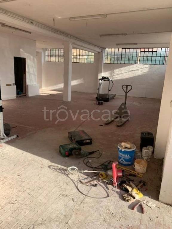 immagine annuncio 5 di 11